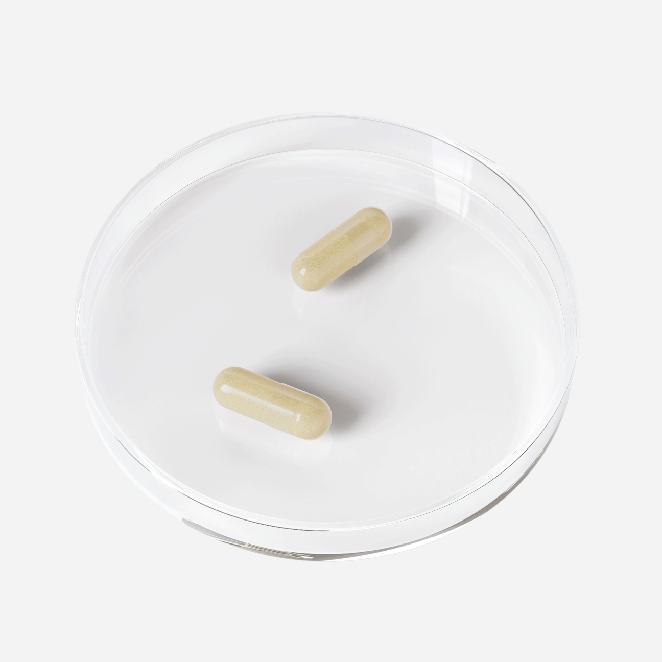 CA_Petri_Dish_Web_1x1_a83f61b3-b74e-4ff0-9314-0688def95b2d.png