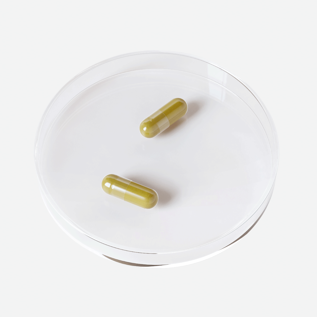 CA_Petri_Dish_Web_1x_2.0.png